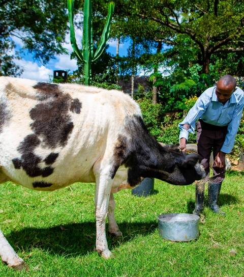 St. Bakhita House of Hope